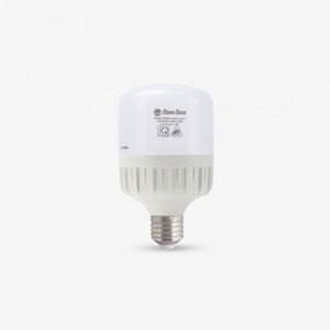 Bóng đèn LED bulb trụ Rạng Đông TR80N1/20W.H