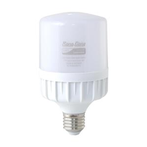 Bóng đèn LED bulb trụ Rạng Đông TR80N1/20W.H