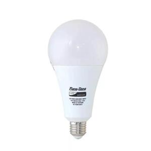 Bóng đèn LED Rạng Đông A95N1/20W