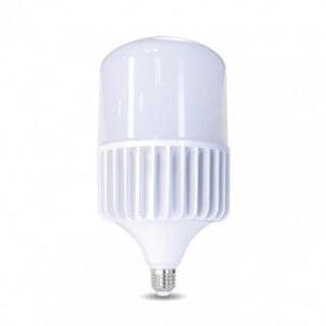 Bóng LED bulb Rạng Đông TR135/80W