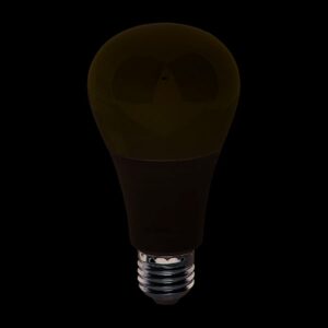 Bóng LED đổi màu SBBM0031