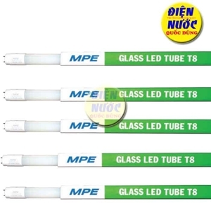 Bóng Led tuýp 1m2 thủy tinh MPE GT8-120V