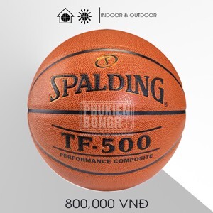 Bóng rổ SPALDING TF500 Performance Size 7