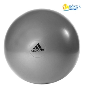 Bóng tập thể dục Adidas ADBL-11245GR