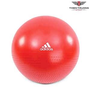 Bóng tập Yoga Adidas ADBL 12245 - 65cm