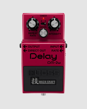 Boss Delay DM-2W