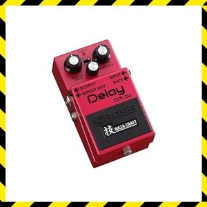 Boss Delay DM-2W