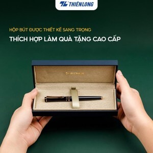 Bút Máy Thiên Long Bizner BIZ-FT01