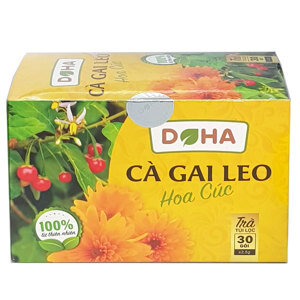 Cà Gai Leo Hoa Cúc DOHA Hộp 50 gói