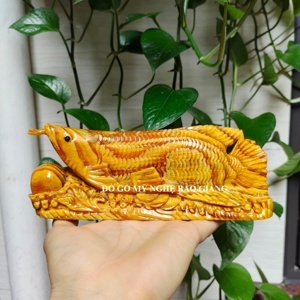 Cá rồng phong thủy