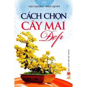 Cách Chọn Cây Mai Đẹp