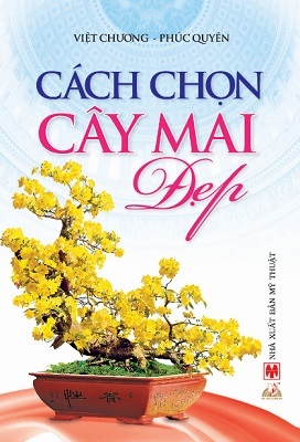 Cách Chọn Cây Mai Đẹp