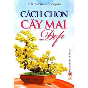 Cách Chọn Cây Mai Đẹp