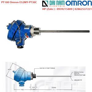 Cảm biến nhiệt độ Omron Loại PT100 E52MY-PT30C D6.3MM SUS316