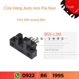 Cảm biến quang điện Autonics BS5-L2M-P