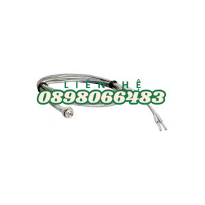 Cảm biến sợi quang Autonics FD-320-05