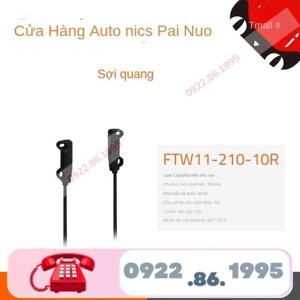 cảm biến sợi quang Autonics FTW11-210-10R