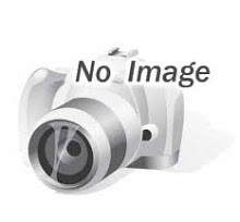 Camen Inox Zebra 150122
