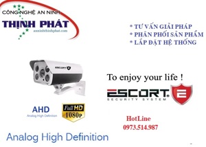 Camera box Escort ESC-803AHD 2.0 - hồng ngoại