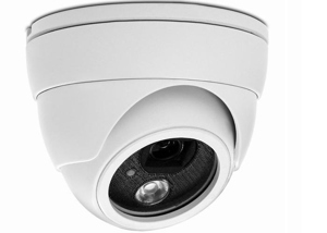 Camera dome Avtech AVN320P - IP, hồng ngoại