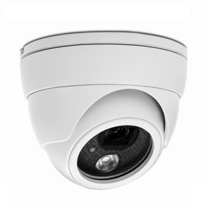 Camera dome Avtech AVN320P - IP, hồng ngoại