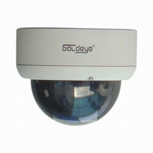 Camera Dome Goldeye MDV16UV