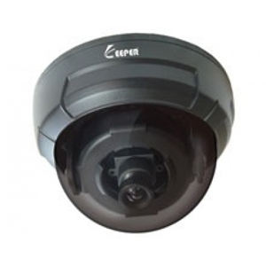 Camera Dome Keeper DM-3142