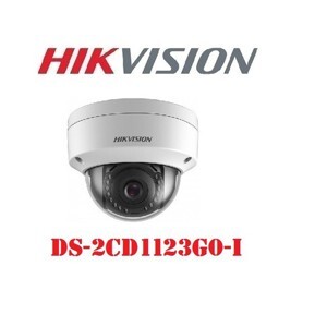 Camera IP 4MP Hikvision DS-2CD2043G0-I