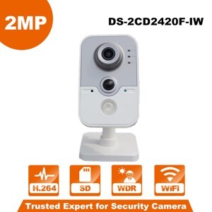 Camera IP Cube Hikvision DS-2CD2420F-IW