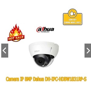 Camera IP Dahua DH-IPC-HDBW1831RP-S