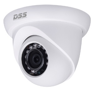 Camera IP Dahua Dome DS2130DIP