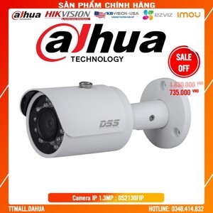 Camera ip Dahua DS2130FIP 1.0MP hồng ngoại 30m