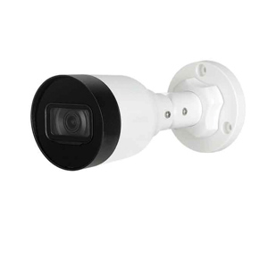 Camera IP Dahua DS2230SFIP-S2 - 2MP