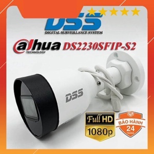 Camera IP Dahua DS2230SFIP-S2 - 2MP