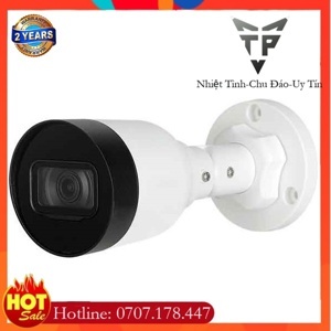 Camera IP Dahua DS2230SFIP-S2 - 2MP