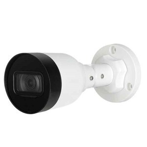 Camera IP Dahua DS2230SFIP-S2 - 2MP