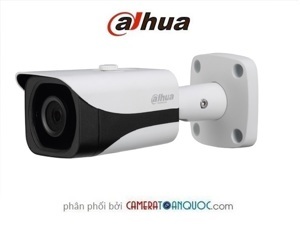 Camera IP Dahua IPC-HFW4220E