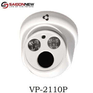 Camera IP Dome 2MP Vantech VP-2110P