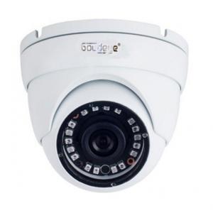 Camera IP Dome Goldeye GE-NSD414-IR - 2MP