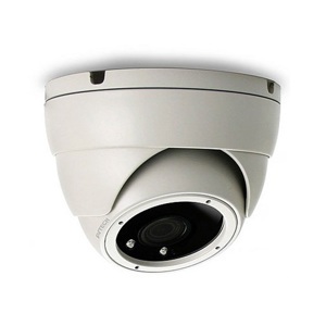 Camera IP Dome hồng ngoại Avtech AVM2220P - 2.0 Megapixel