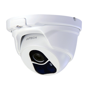 Camera IP Dome hồng ngoại Avtech - DGM1104P