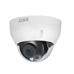 Camera IP Dome hồng ngoại Dahua DS2230RDIP-S2 - 2MP