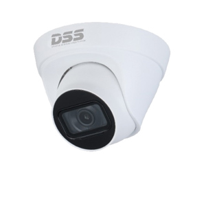 Camera IP Dome hồng ngoại Dahua DS2230TDIP-S2 - 2MP