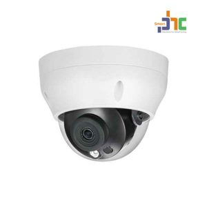 Camera IP Dome hồng ngoại Dahua DS2230RDIP-S2 - 2MP