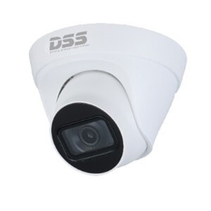 Camera IP Dome hồng ngoại Dahua DS2431TDIP-S2 - 4MP