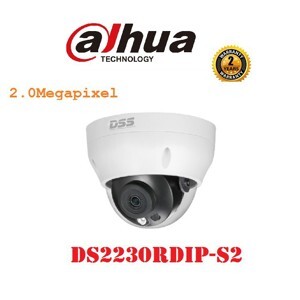 Camera IP Dome hồng ngoại Dahua DS2230RDIP-S2 - 2MP