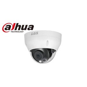 Camera IP Dome hồng ngoại Dahua DS2431RDIP-S2 - 4MP