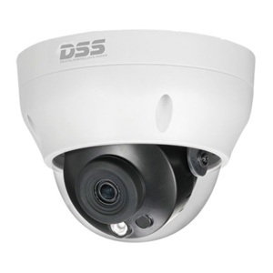 Camera IP Dome hồng ngoại Dahua DS2431RDIP-S2 - 4MP