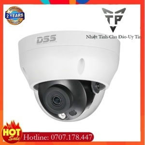 Camera IP Dome hồng ngoại Dahua DS2230RDIP-S2 - 2MP