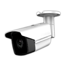 Camera IP HD Paragon HDS-2252IRPH8